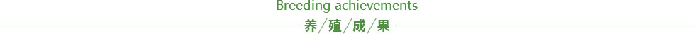 imtoken下载地址